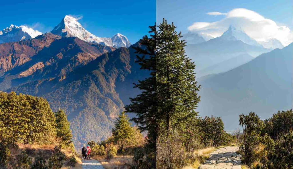 Walking Trail to Poon Hill View Point at Nepal.