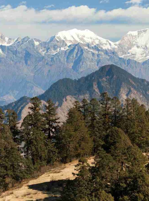 mount saipal base camp trek