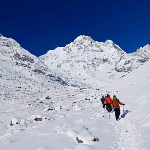 Trekker walking on the Annapurna Base Camp trail